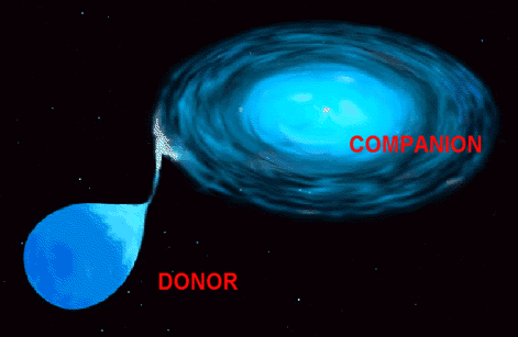 Donor and Companion - Interacting Binary System