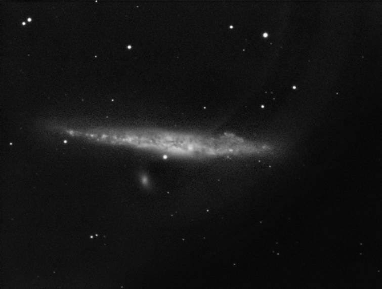 Galaxie de la Baleine (NGC 4631)